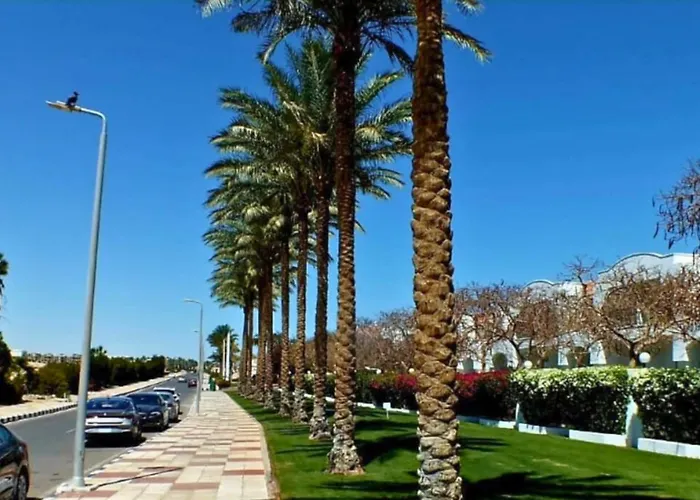 Hills Signature Apartman Sarm es-Sejk